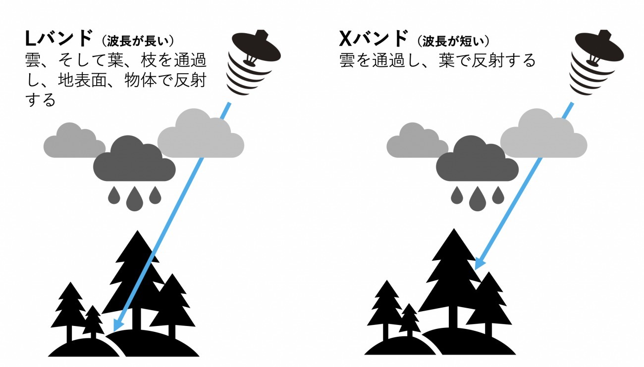 QPS研究所「超小型LバンドSAR衛星」を開発へ。森林炭素量や温室効果ガス収支の評価などでの活用に期待【宇宙ビジネスニュース】