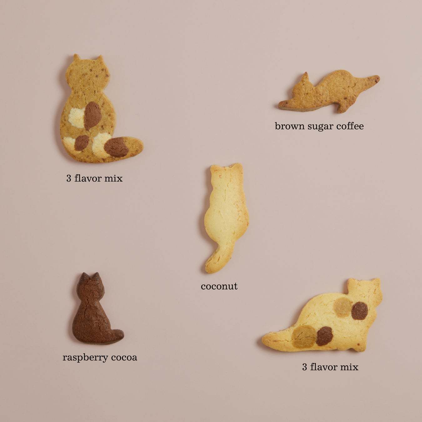 ニャンとも可愛い！ukafeで人気の猫クッキーがバレンタイン限定のパッケージとフレーバーで登場
