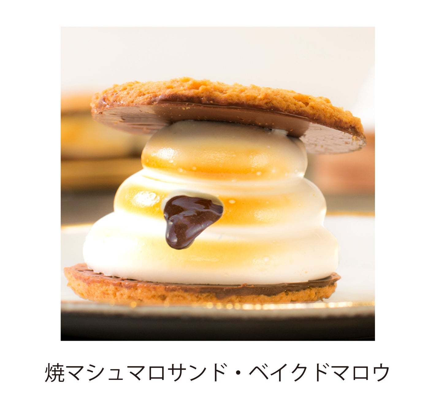 新発売！マカダミアナッツを存分に味わえる焼マシュマロスイーツ『キャラメルマカダミアチョコブラウニー』【ベイクドマロウ】