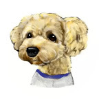 癒しの犬猫動画が見れる人気のペットYouTuber(ユーチューブ・ユーチューバー)インフルエンサーチャンネルランキング