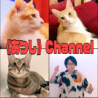 癒しの犬猫動画が見れる人気のペットYouTuber(ユーチューブ・ユーチューバー)インフルエンサーチャンネルランキング