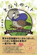 公園のハトのスゴい能力とは？知っているようで知らないハトの秘密