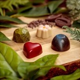 ホテルグランヴィア広島、新作バレンタインチョコレート「極（kiwami）ショコラ・ド・ボア」販売