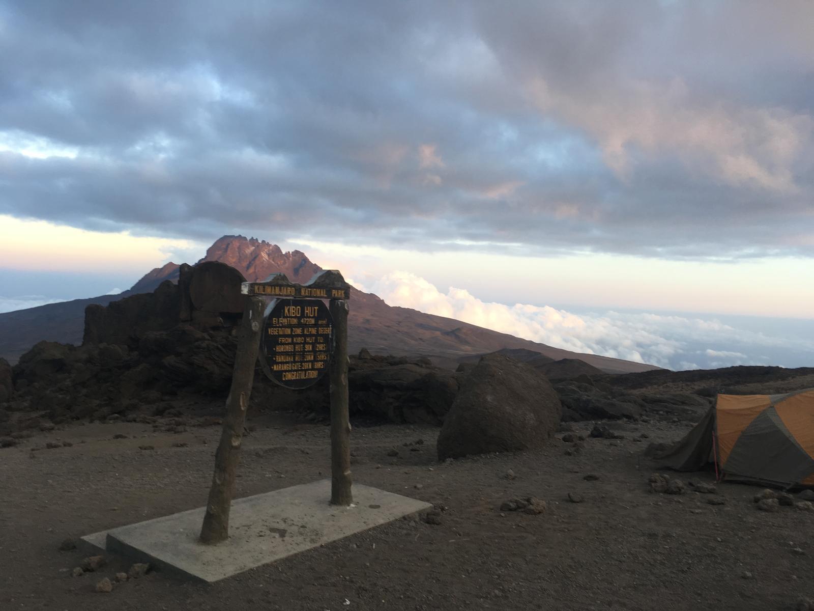 【タンザニア】独立峰世界一、キリマンジャロ登山に挑戦！