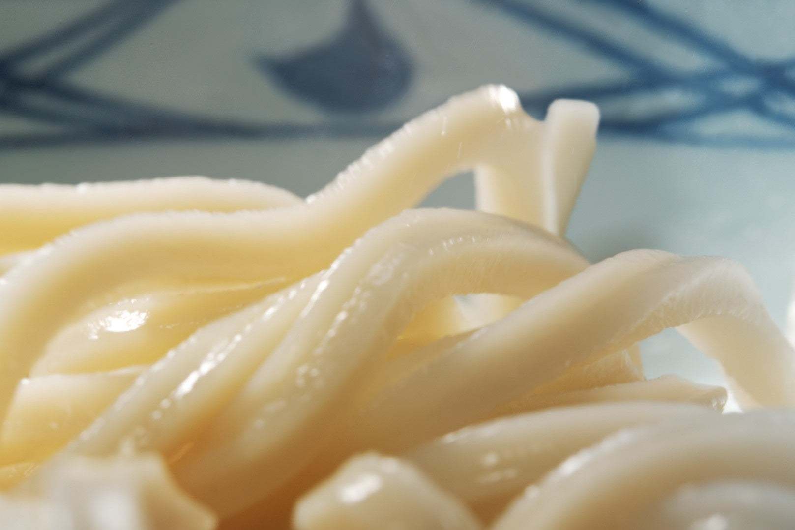 冬だけの食べ応えを手づくり熱々で味わう毎年人気の一杯 鴨肉の旨みとねぎの甘みが特製だしにしみわたり、打ち立てうどんと相性抜群冬の大定番『鴨ねぎうどん』今年も登場!