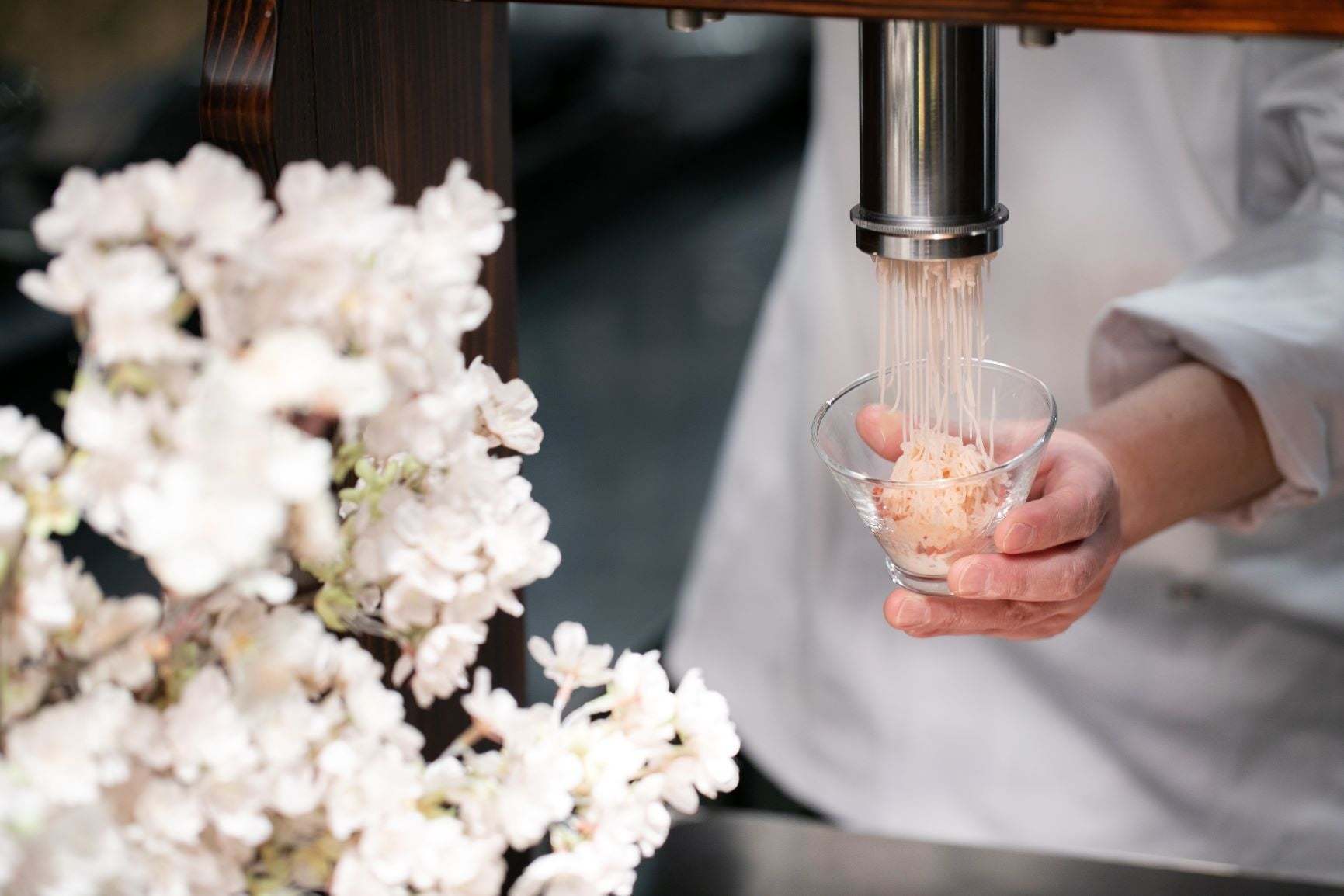 新横浜プリンスホテル 桜とイチゴのスイーツが勢揃い!一足早いお花見気分を楽しむスイーツナイトブッフェを開催