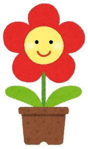 プレゼントとして最適な「スターチス」の花言葉とは?ドライフラワーにも適した人気のお花