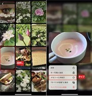 写真の整理＆共有が楽しくなる！　知っておきたいiPhoneの「写真」アプリ管理術