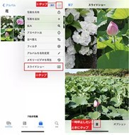 写真の整理＆共有が楽しくなる！　知っておきたいiPhoneの「写真」アプリ管理術