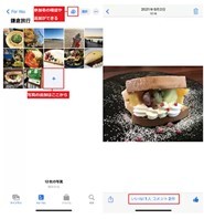 写真の整理＆共有が楽しくなる！　知っておきたいiPhoneの「写真」アプリ管理術