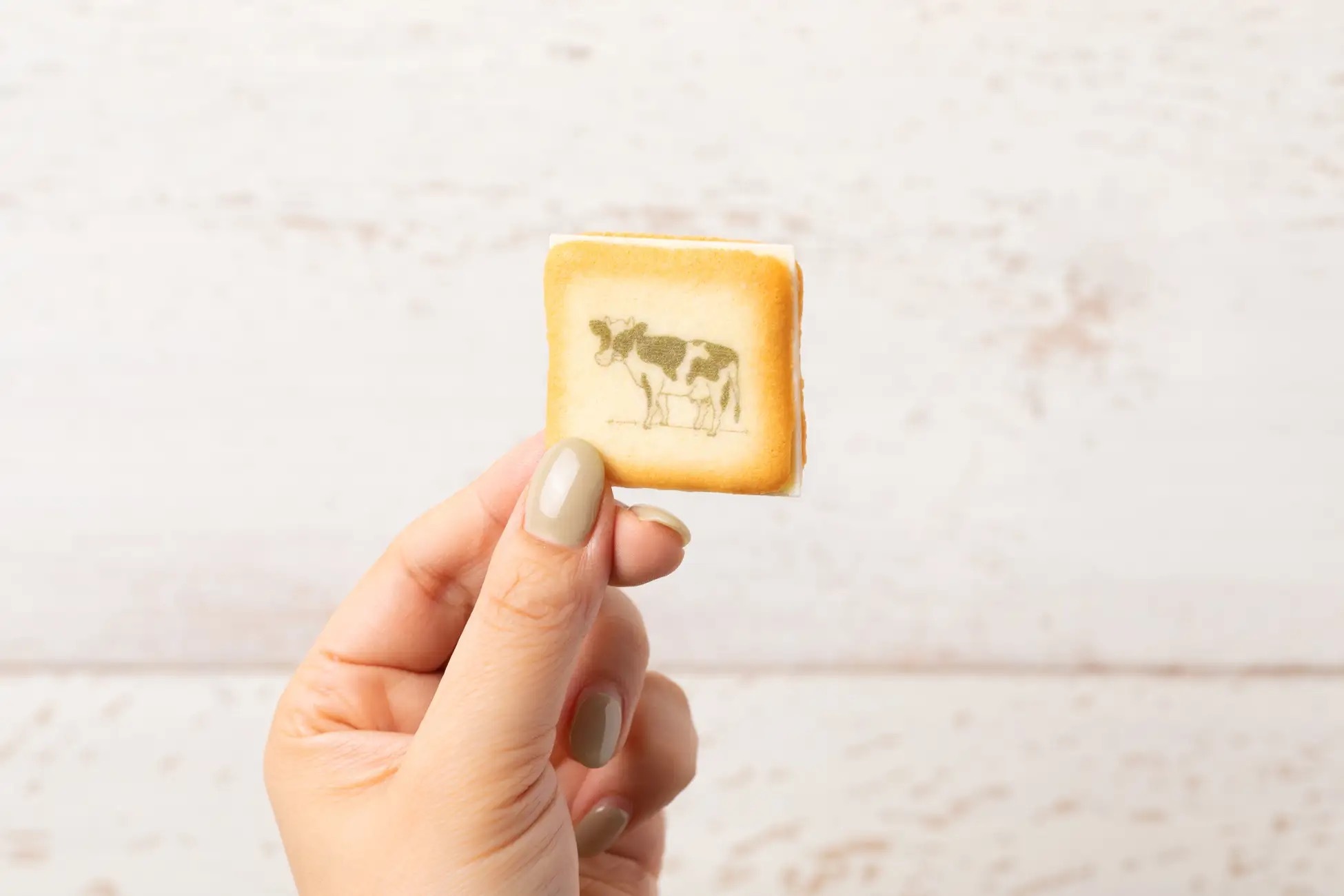生クリーム専門店ミルク 春の新商品「ミルクラングドシャ」が登場！まるで生クリームを食べたような幸せ！濃厚でミルキーな味わいと甘みの虜になります。