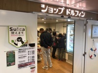 東洋のガラパゴス小笠原諸島へ！本土からの唯一の定期航路おがさわら丸で行ってきました！