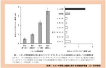 みかんは体に良いってほんと？　効能は？適量は？