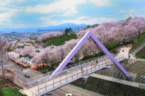 ペットと一緒に楽しもう!北陸・甲信越で人気のおでかけスポット一覧!山梨県・長野県・福井県・石川県・富山県・新潟県