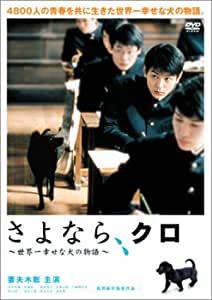 ペットが登場するおすすめドラマ・映画！感動や笑いがある犬と猫が題材の作品を紹介