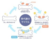 みかんは体に良いってほんと？　効能は？適量は？