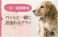 ペットと一緒に楽しもう!北陸・甲信越で人気のおでかけスポット一覧!山梨県・長野県・福井県・石川県・富山県・新潟県