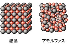 超強力「シャコパンチ」は、拳にナノ粒子をまとって”衝撃を吸収する”と判明