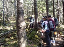 初めての雌阿寒岳の登山を徹底ガイド！初心者でも楽しめるコースをご紹介！