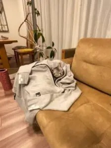 猫吸いならぬ「主吸い」？　飼い主の服に顔をうずめる猫ちゃんが愛しすぎる