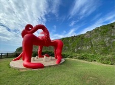 【連載】宮古島おすすめ観光スポット！冬の宮古島を楽しもう