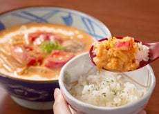 ≪丸亀製麺と株式会社TOKIO 松岡 昌宏さん共創の自信作≫ 打ち立てのうどんに絡む「まろやかで辛い」 新作『豆乳仕立ての冷やしトマたまカレーうどん』発売