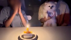 ケーキの大きさでテンション激変！自分の気持ちに正直すぎるワンちゃん