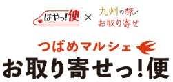 酒蔵直送!「しぼりたて生酒」を列車でお届け!『つばめマルシェ特別版』を開催します