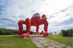 【連載】宮古島おすすめ観光スポット！冬の宮古島を楽しもう