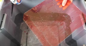ガラスは水に浸せばハサミで切れる!?自宅でも試せる「ケモメカニカル効果」とは?
