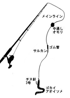 タマン釣り！沖縄に行ったら狙いたいタマン釣り必勝ガイド！釣り場情報も！