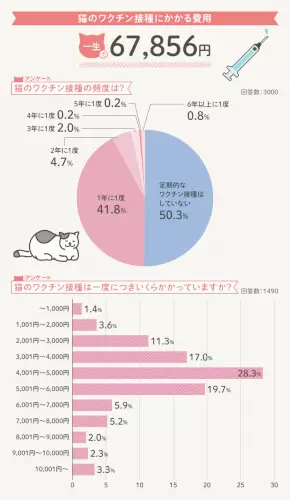 猫の一生にかかるお金は約264万円！「R＆Cマガジン」が飼い主3000人に調査