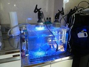 空気からエネルギーを取り出す!? 永久機関開発者のエピソードがすごい! 水槽の水を永久に浄化する活水器とは?