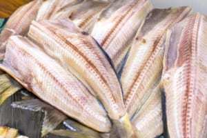 干物が美味しい「ホッケ」を漢字表記を知っていますか?名前の由来もご紹介!!