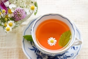 カモミールの花言葉は?世界最古のハーブには力強い花言葉があった!