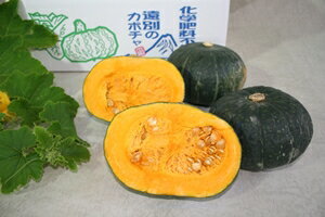 かぼちゃは炭水化物が多くて太る?気になるカロリーや栄養素を解説!