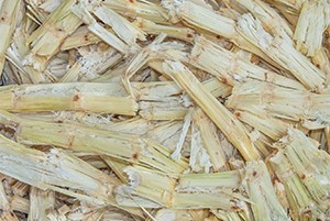 無印良品 環境配慮素材を用いた紙製食器・カトラリー計8種発売