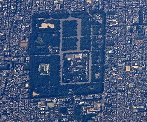 家相は「京都の〇〇」を真似ると吉! 引っ越し先の邪気を払う植物とは?