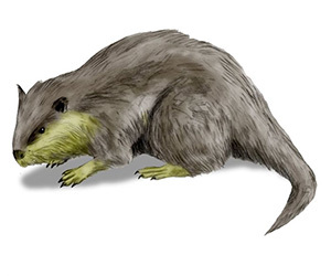 ネブラスカの巨大らせん「悪魔のコルク栓抜き」とは!? 3000万年前の超古代文明が関与? 予想外の作成者に仰天