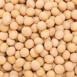 筋トレには牛乳・豆乳どちらが効果的?プロテインとの飲み合わせも解説!