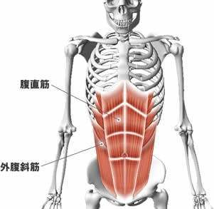 腹筋ストレッチの正しいやり方を徹底解説！筋トレとあわせて行うと効果大！