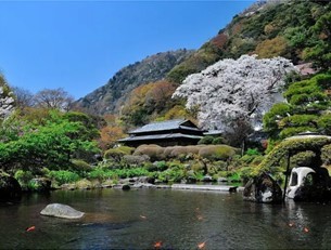 駅から無料バス3分も！箱根の日帰り温泉おすすめ12選。土日でも空いてる穴場はある？