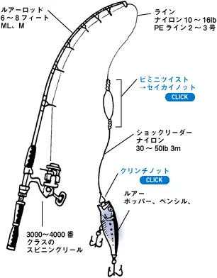 【シイラ釣り入門編】時期、仕掛けはルアー？初めての疑問を徹底解剖