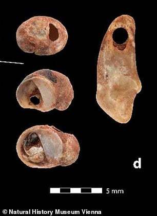 約3万年前に亡くなった「一卵性双生児の遺骨」を発見！ 考古学史上、最古の双子