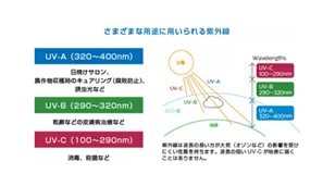 コロナ消毒の大本命はフィリップス？　隠れた老舗の消毒照明が信頼に値する理由