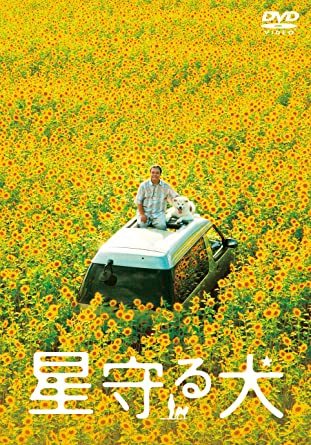 ペットが登場するおすすめドラマ・映画！感動や笑いがある犬と猫が題材の作品を紹介