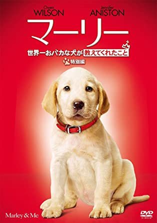 ペットが登場するおすすめドラマ・映画！感動や笑いがある犬と猫が題材の作品を紹介