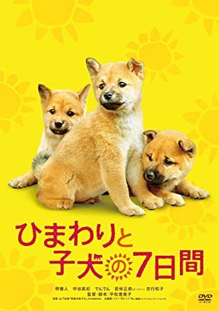 ペットが登場するおすすめドラマ・映画！感動や笑いがある犬と猫が題材の作品を紹介