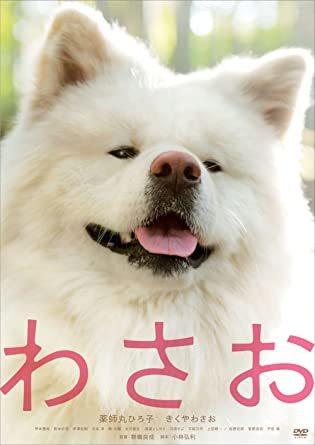 ペットが登場するおすすめドラマ・映画！感動や笑いがある犬と猫が題材の作品を紹介