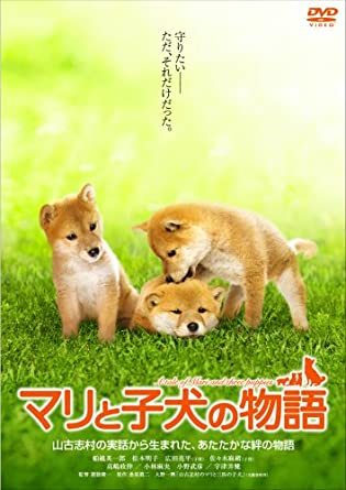 ペットが登場するおすすめドラマ・映画！感動や笑いがある犬と猫が題材の作品を紹介